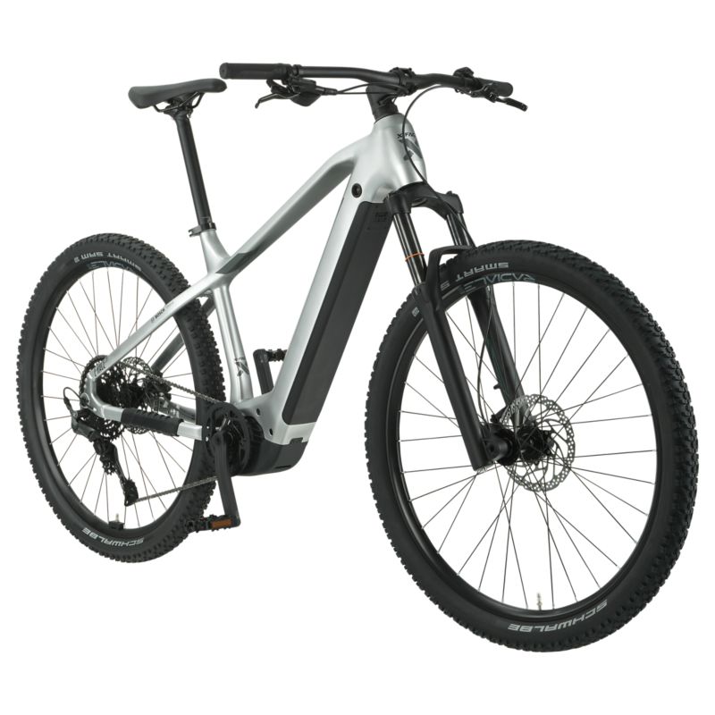 X Fact E-Race 29 eBike