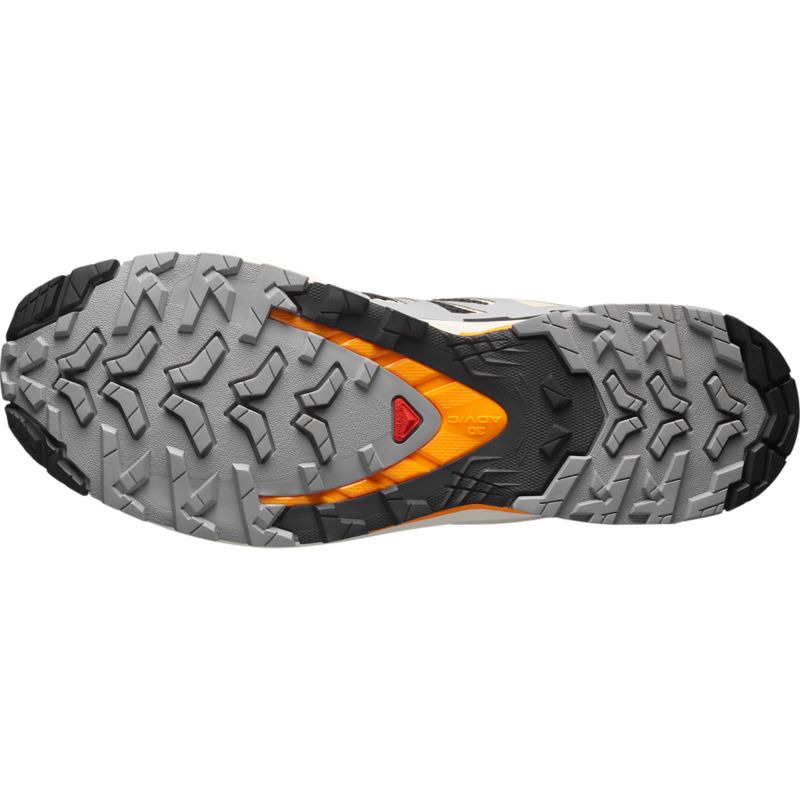 Salomon XA PRO 3D V9 Laufschuh