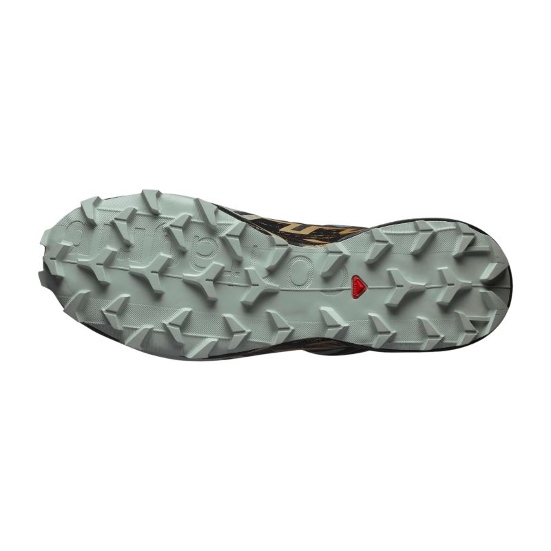 Salomon SPEEDCROSS 6 GTX Laufschuh
